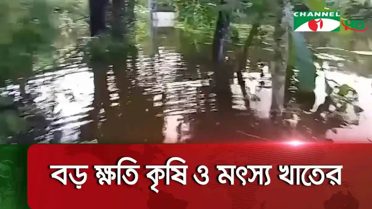 -4 Channel i News - চ্যানেল আই নিউজ