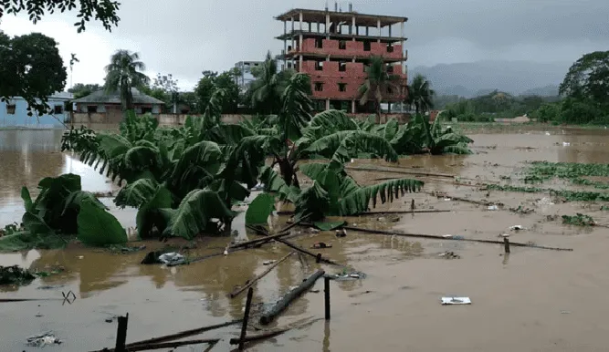 খাগড়াছড়িতে বন্যার কারণে ফসলি জমি ক্ষতিগ্রস্ত. Channel i News - চ্যানেল আই নিউজ