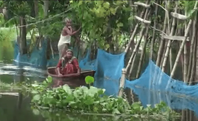 কুমিল্লায় বন্যাকবলিত এলাকায় রোগের প্রাদুর্ভাব, জলাবদ্ধতা ও স্বাস্থ্য ঝুঁকি. Channel i News - চ্যানেল আই নিউজ