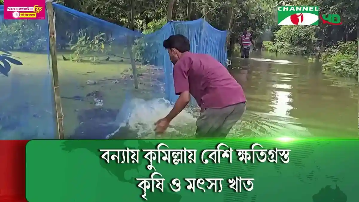 কৃষক বন্যার পানিতে মাছ ধরছেন কুমিল্লায়. Channel i News - চ্যানেল আই নিউজ