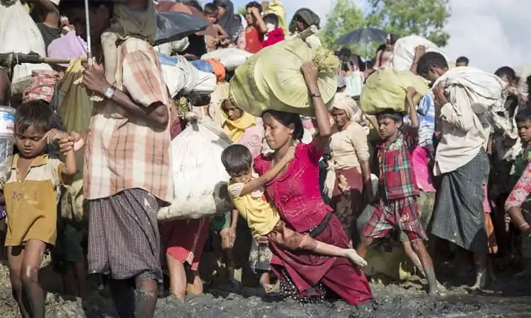 রোহিঙ্গা শরণার্থীদের জন্য ত্রাণ সংগ্রহের দৃশ্য. Channel i News - চ্যানেল আই নিউজ