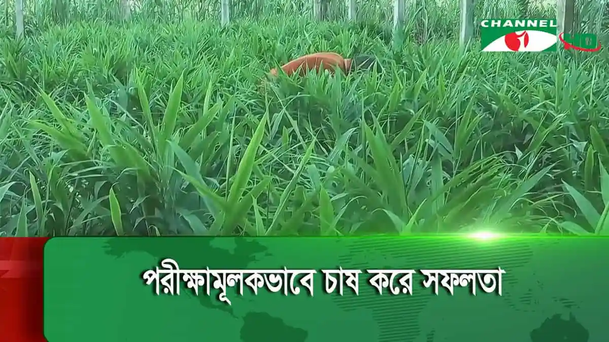 -4 Channel i News - চ্যানেল আই নিউজ