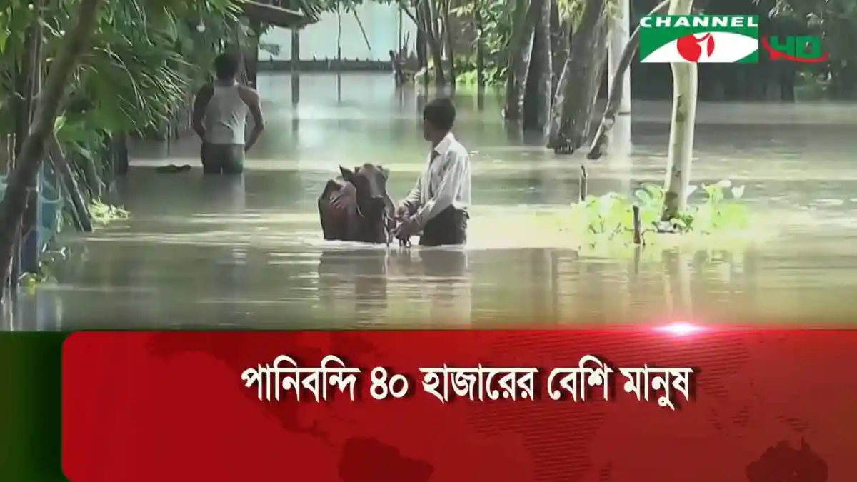 লালমনিরহাট ও কুড়িগ্রামে বন্যার পানিতে মানুষ ও গবাদি পশু. Channel i News - চ্যানেল আই নিউজ