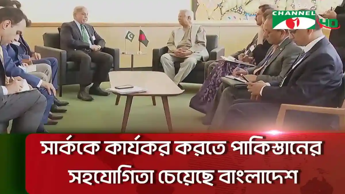 বাংলাদেশ ও পাকিস্তানের প্রতিনিধিরা সার্ক আলোচনা সভায় অংশগ্রহণ করছেন. Channel i News - চ্যানেল আই নিউজ