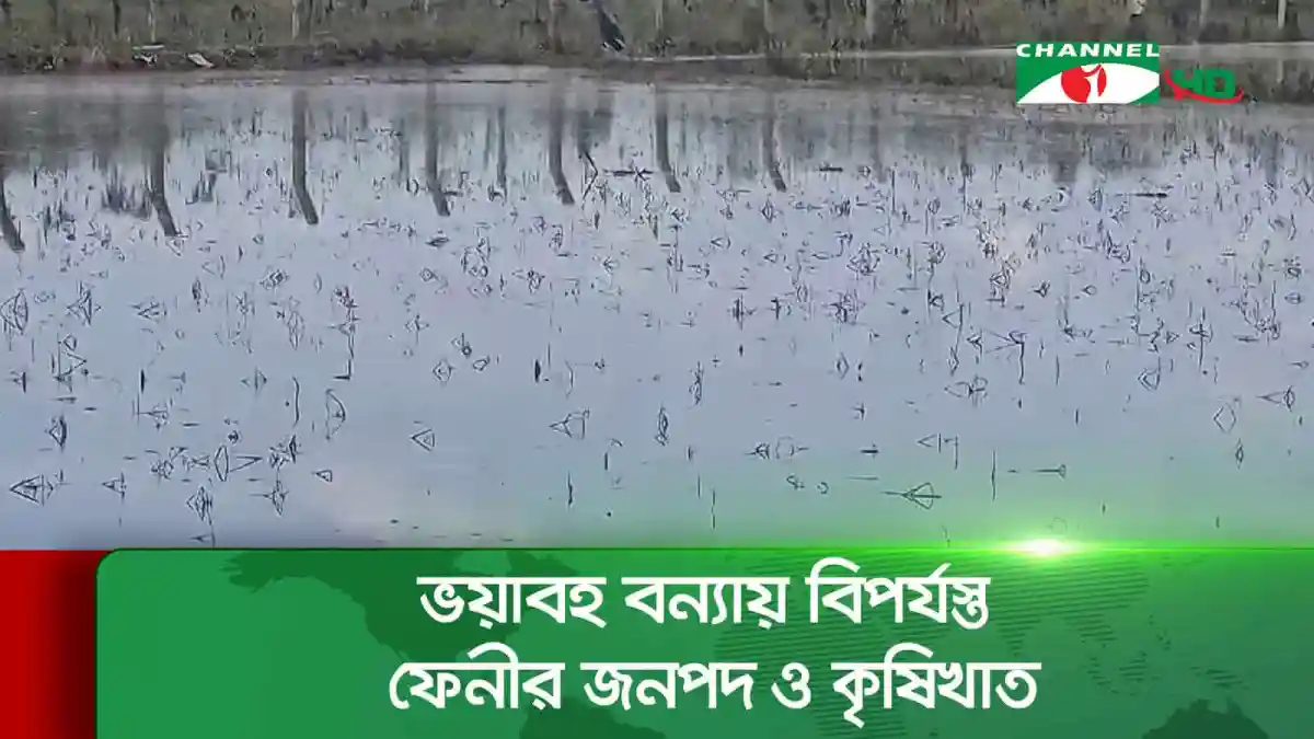 ফেনীর জনপদে বন্যার কারণে জলাবদ্ধতা সৃষ্টি. Channel i News - চ্যানেল আই নিউজ