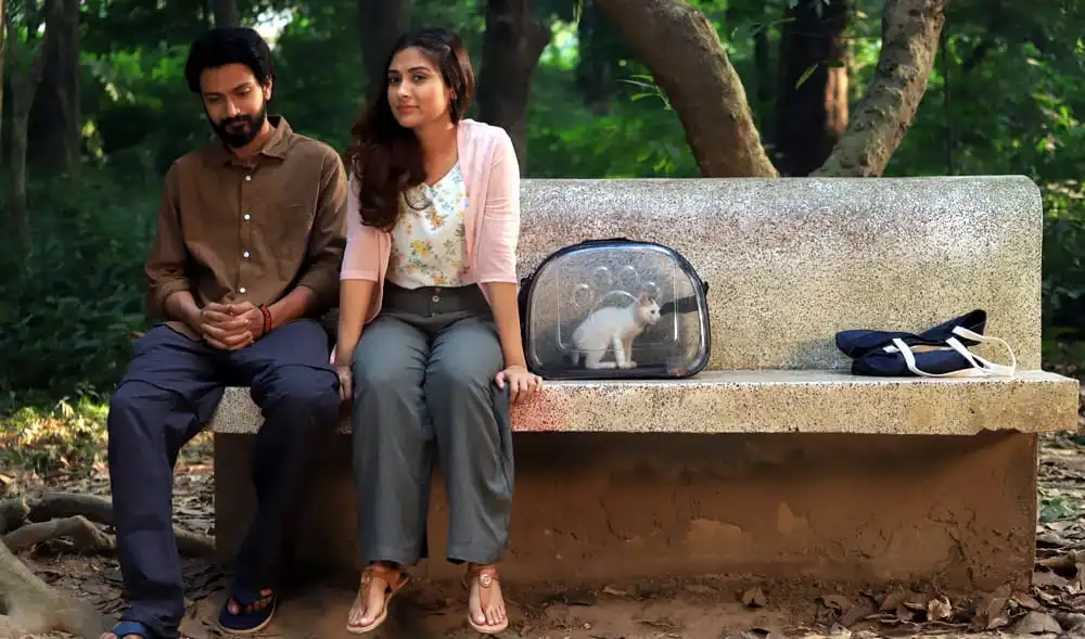 প্রেমিক ও প্রেমিকা বনজঙ্গলে বসে, পাশে একটি পোষা বিড়াল. Channel i News - চ্যানেল আই নিউজ