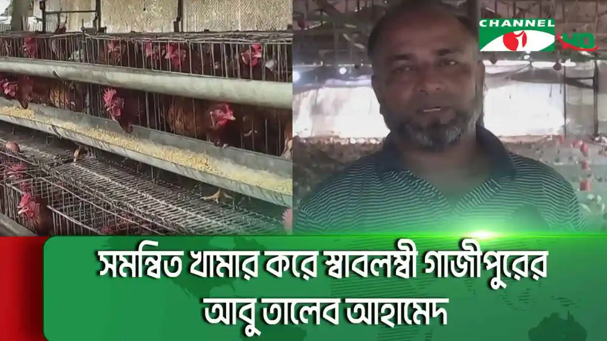গাজীপুরের আবু তালেবের সমন্বিত খামার ও তার জীবনের গল্প. Channel i News - চ্যানেল আই নিউজ