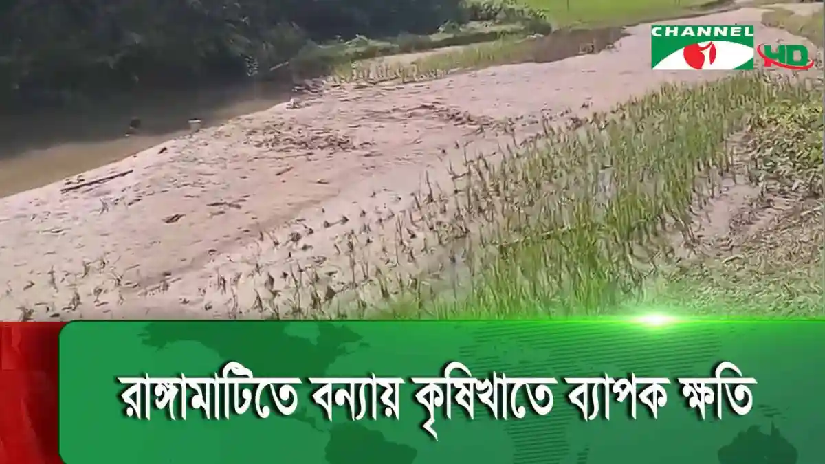 রাঙ্গামাটিতে বন্যায় কৃষিখাতে ব্যাপক ক্ষতি, পানির প্রবাহ বৃদ্ধি. Channel i News - চ্যানেল আই নিউজ