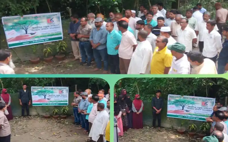 বৃক্ষরোপণ কর্মসূচিতে অংশগ্রহণকারীরা উপস্থিত. Channel i News - চ্যানেল আই নিউজ