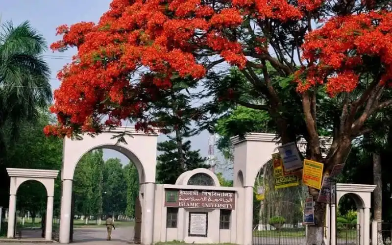 ইসলামী বিশ্ববিদ্যালয়ের গেটের পাশে রঙিন গাছের ছায়া।. Channel i News - চ্যানেল আই নিউজ