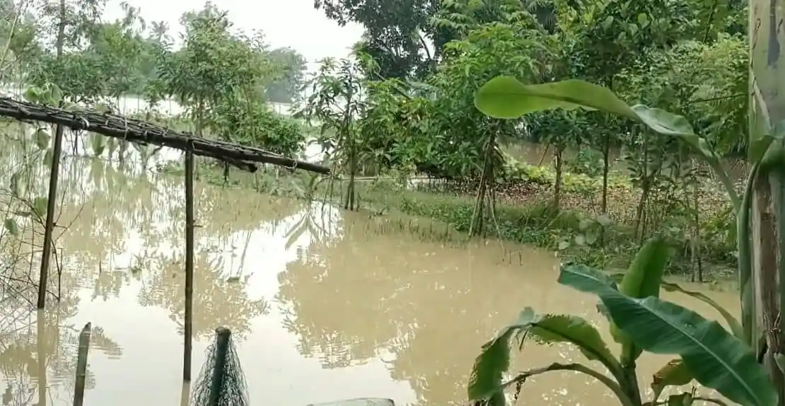 শেরপুরে বন্যা পরিস্থিতির উন্নতি, জলাবদ্ধতা ও ক্ষতিগ্রস্ত কৃষি জমি. Channel i News - চ্যানেল আই নিউজ