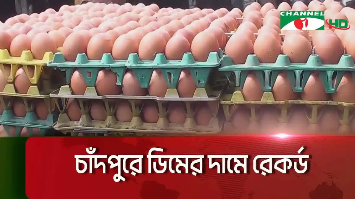 চাঁদপুরে ডিমের দাম রেকর্ড, বাজারে সরবরাহ কম. Channel i News - চ্যানেল আই নিউজ