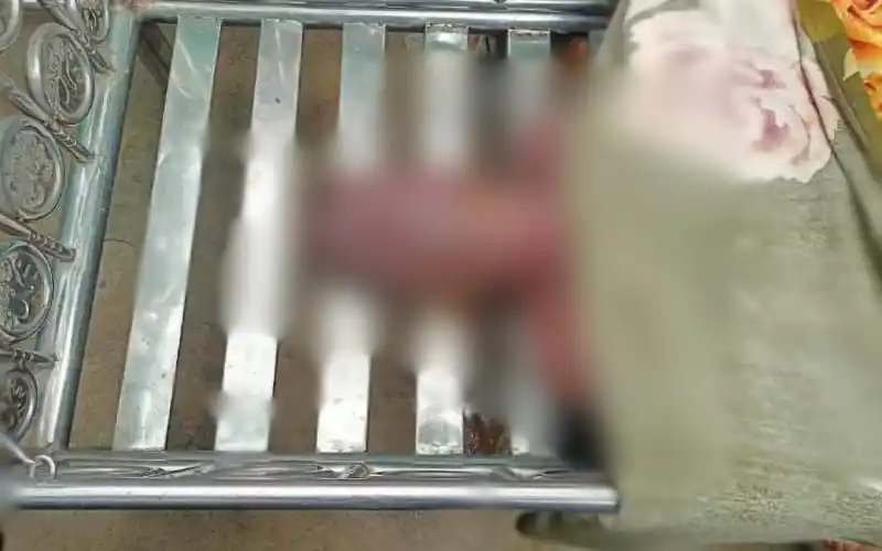 পুকুরে একটি মরদেহ উদ্ধার করা হয়েছে, পুলিশ তদন্ত চালাচ্ছে. Channel i News - চ্যানেল আই নিউজ