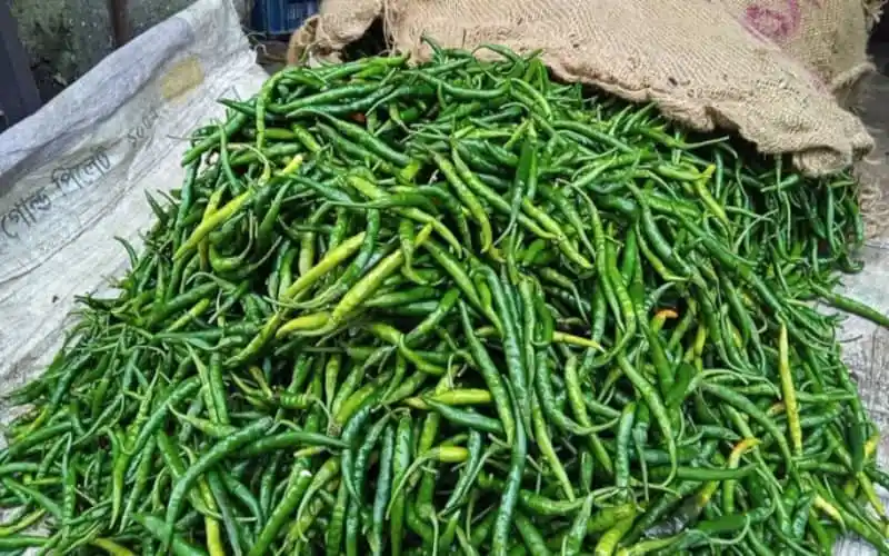 বাংলাদেশ থেকে আমদানি করা কাঁচা মরিচের বড়ো মজুত. Channel i News - চ্যানেল আই নিউজ