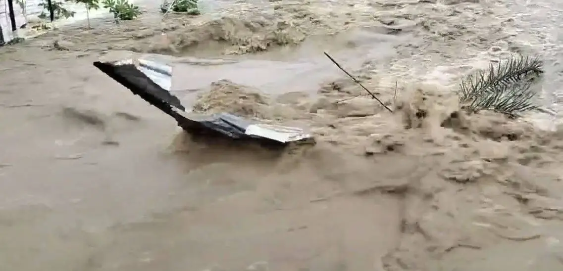শেরপুরে বন্যার পানিতে ভেসে গেছে গাছপালা ও একটি গাড়ি. Channel i News - চ্যানেল আই নিউজ