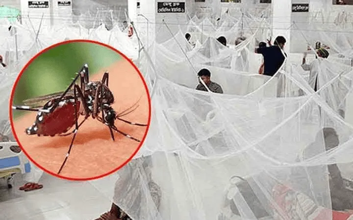 ডেঙ্গুতে আক্রান্ত রোগীদের জন্য হাসপাতালের শয্যা ও চিকিৎসা ব্যবস্থা. Channel i News - চ্যানেল আই নিউজ