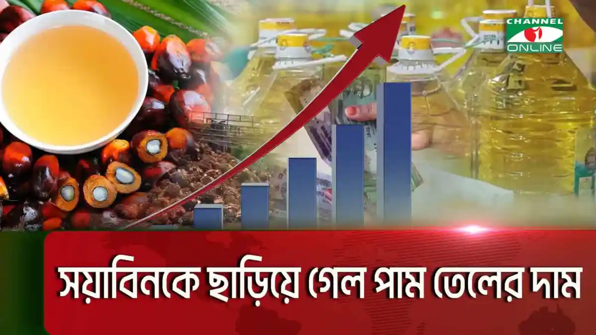 পাম তেলের দাম বৃদ্ধির গ্রাফ ও বোতল, অর্থনৈতিক বিশ্লেষণ. Channel i News - চ্যানেল আই নিউজ