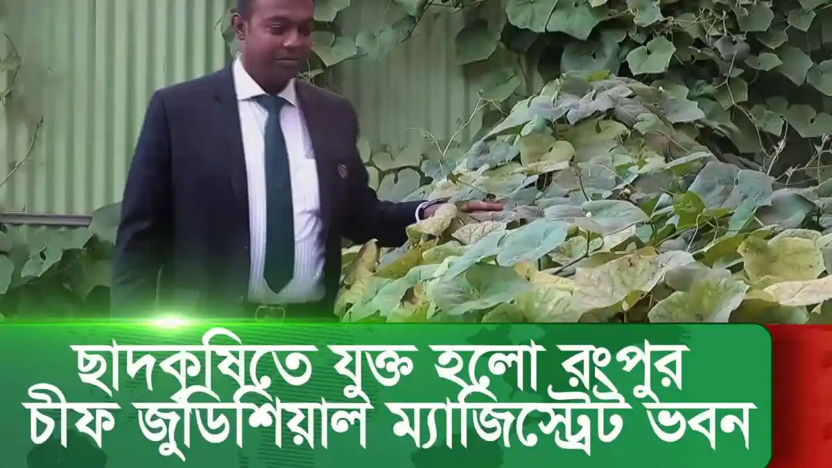 ছাত্রলীগ নেতা কৃষি জমিতে সবজি চাষ করছেন. Channel i News - চ্যানেল আই নিউজ