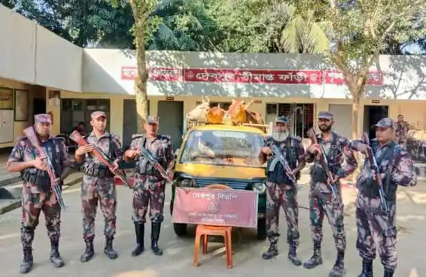 ফেনী সীমান্তে ভারতীয় মালামাল জব্দের জন্য নিরাপত্তা বাহিনী প্রস্তুত. Channel i News - চ্যানেল আই নিউজ