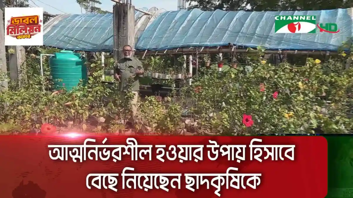 শরীয়তপুরে তরুণ শিক্ষার্থীর বাণিজ্যিক ছাদকৃষি প্রকল্প. Channel i News - চ্যানেল আই নিউজ