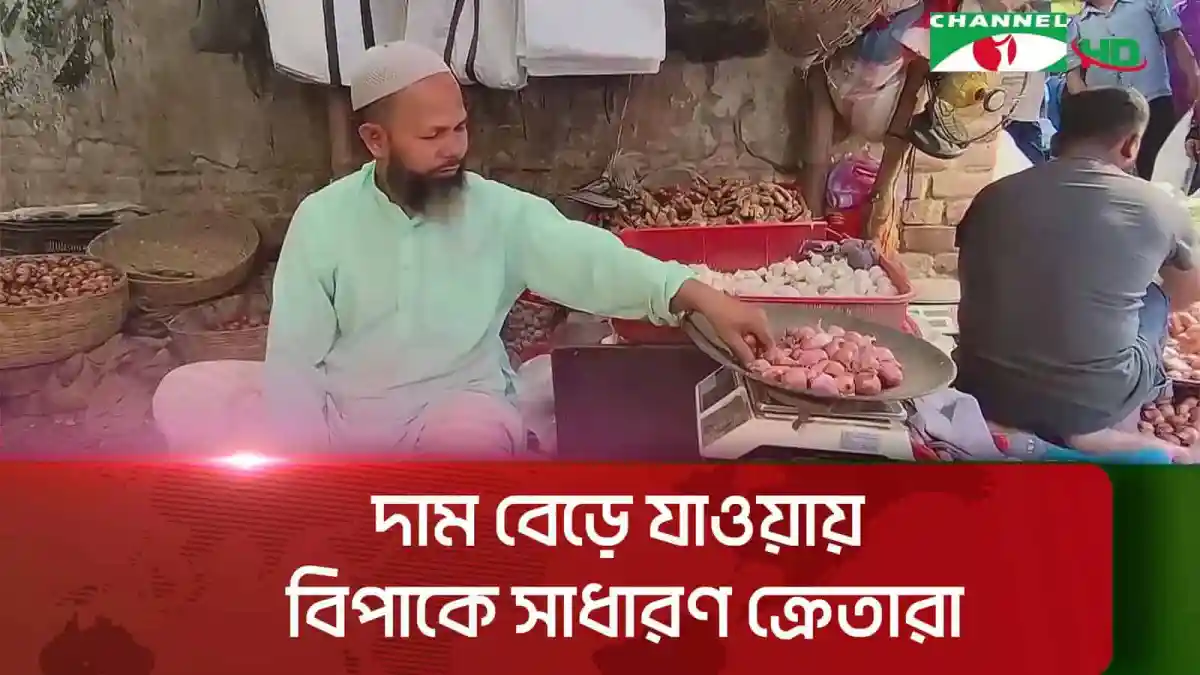বগুড়ায় পেঁয়াজ ও রসুনের বাজারে বিক্রেতা. Channel i News - চ্যানেল আই নিউজ