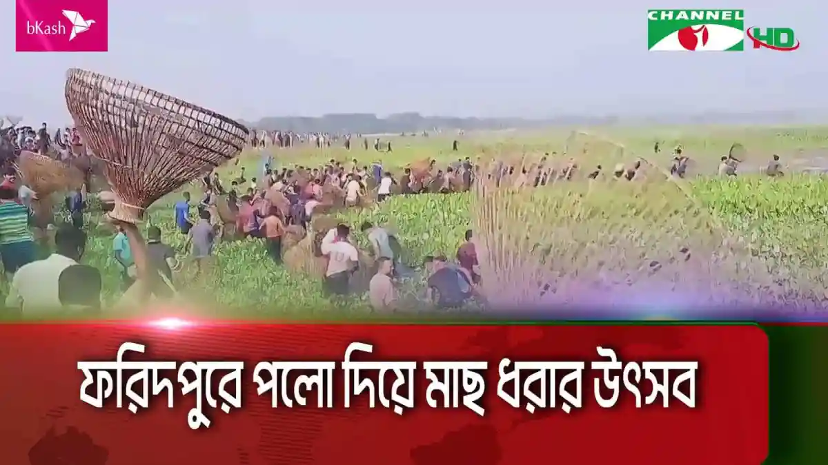 ফরিদপুরে পলো দিয়ে মাছ ধরা উৎসবের দৃশ্য, হাজার হাজার মানুষ অংশগ্রহণ. Channel i News - চ্যানেল আই নিউজ