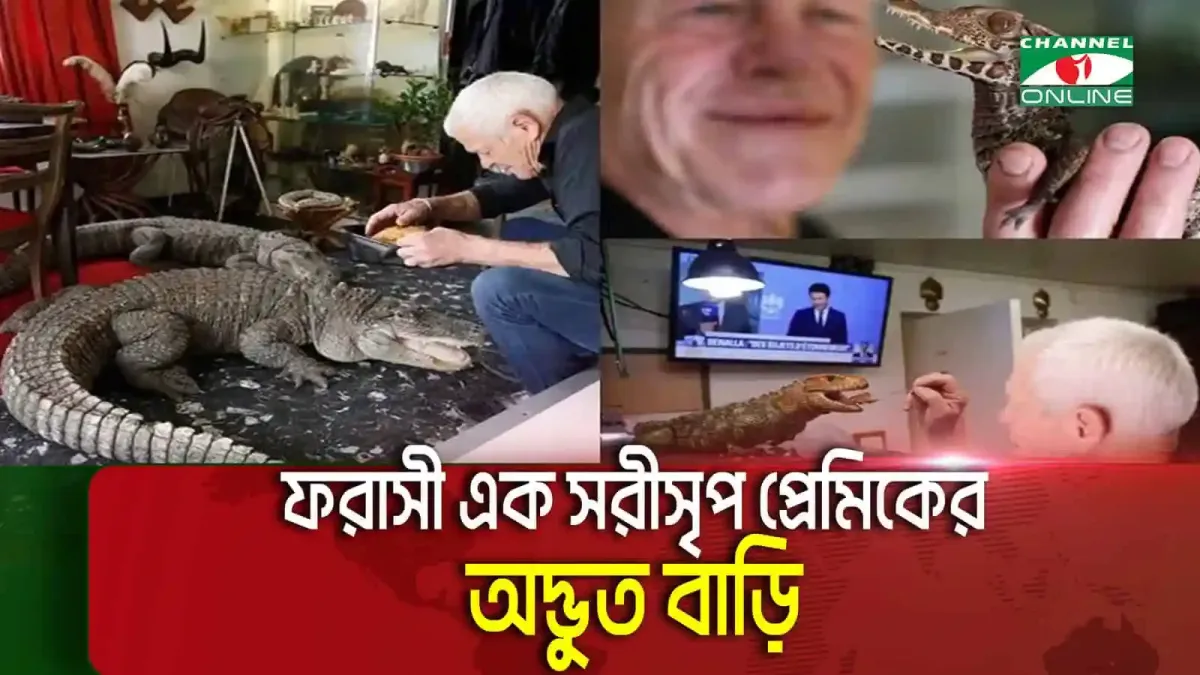 সাপের সঙ্গে ঘুমাচ্ছেন তিনি, সরীসৃপের সঙ্গে শান্তিপূর্ণ মুহূর্ত. Channel i News - চ্যানেল আই নিউজ