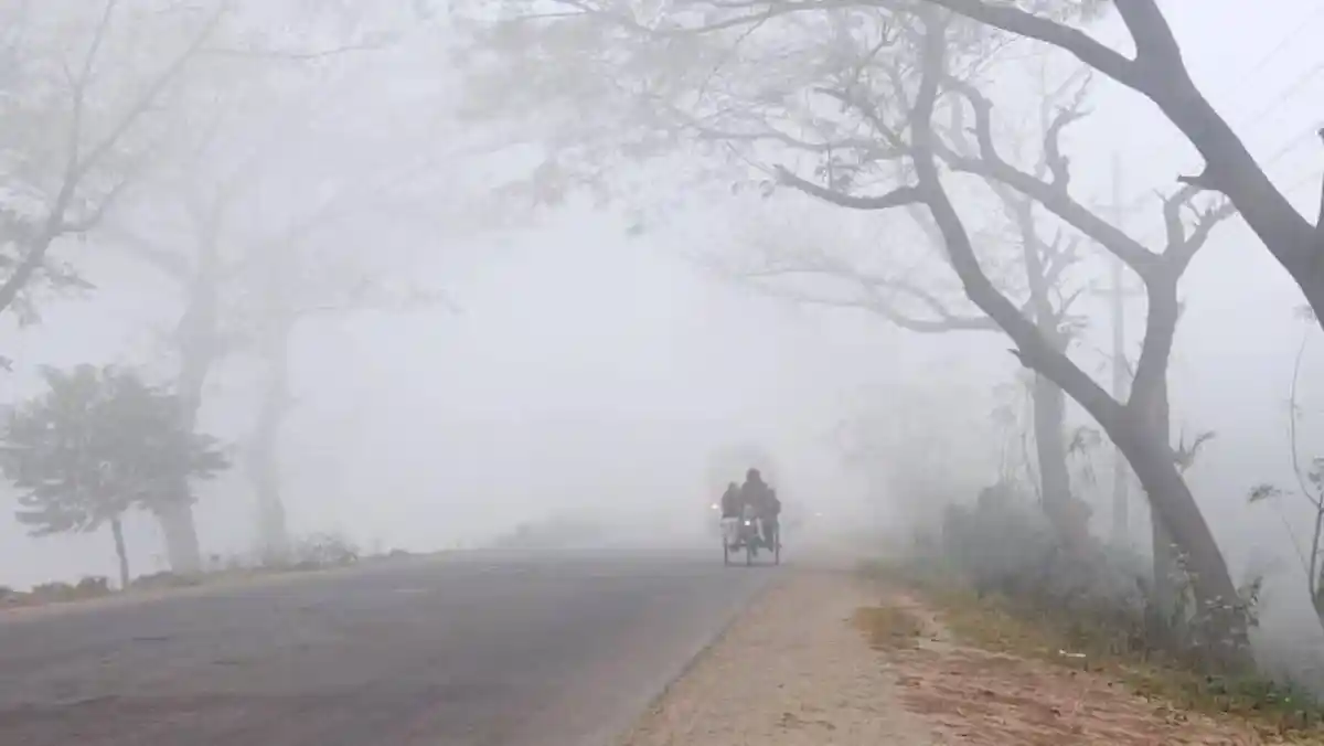 কুয়াশাচ্ছন্ন দিনাজপুরের রাস্তা, ধূসর আকাশ ও গাছের ছায়া. Channel i News - চ্যানেল আই নিউজ