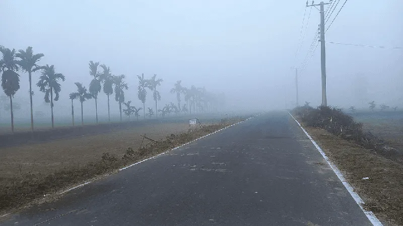 তেঁতুলিয়ার রোডে ঘন কুয়াশা ও ধূসর আকাশ, শীতের প্রভাব. Channel i News - চ্যানেল আই নিউজ