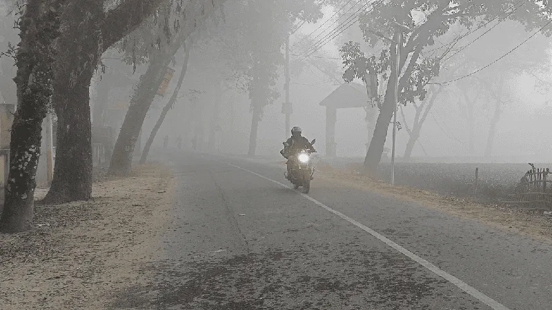 তেঁতুলিয়ায় কুয়াশার মধ্যে এক ব্যক্তি বাইক চালাচ্ছে. Channel i News - চ্যানেল আই নিউজ