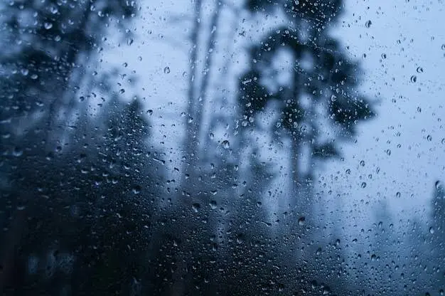 বৃষ্টির কারণে জলবন্দি রাস্তা ও গাছের দৃশ্য, বাংলাদেশে মৌসুমি বৃষ্টিপাতের চিত্র. Channel i News - চ্যানেল আই নিউজ