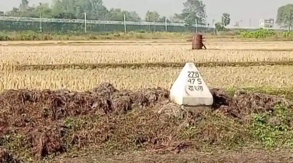 পিলারের পাশে মৃতদেহ পড়ে আছে, ধানক্ষেতের মধ্যে. Channel i News - চ্যানেল আই নিউজ