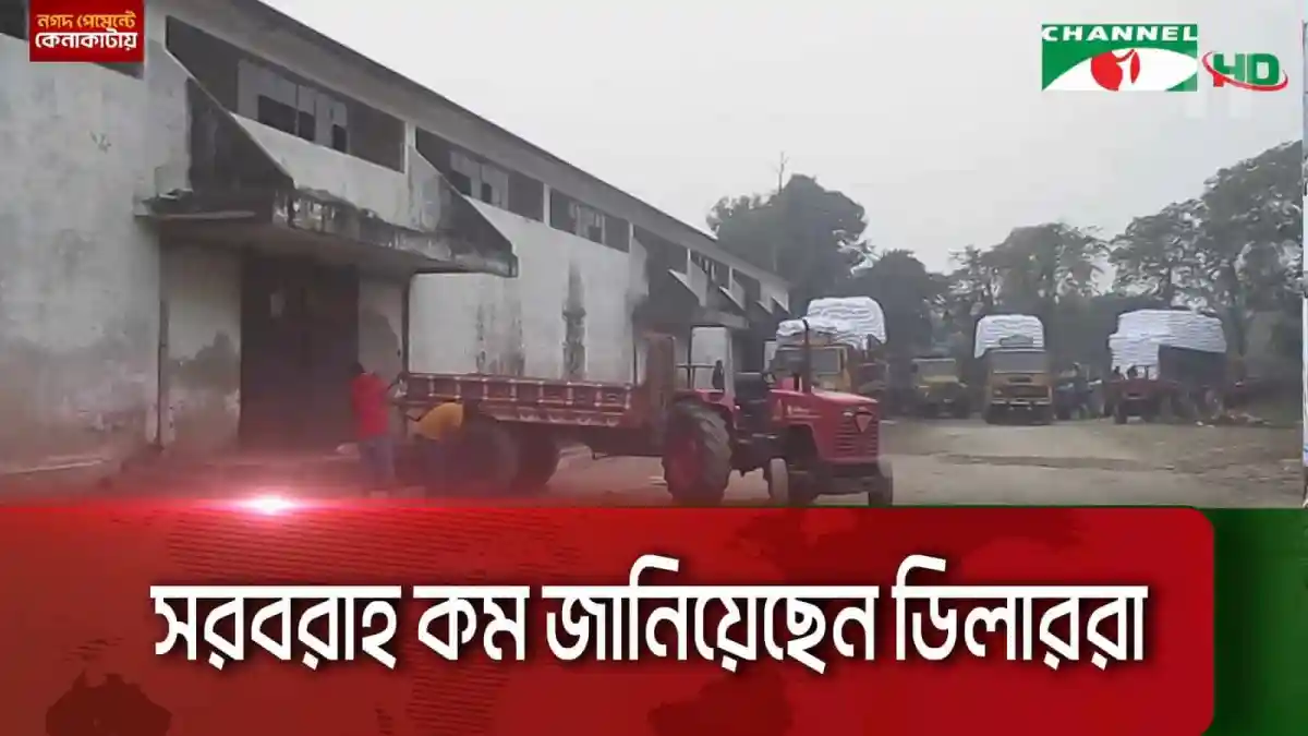ঠাকুরগাঁওয়ে কৃষকদের জন্য সার সংকটের কারণে দুর্ভোগ. Channel i News - চ্যানেল আই নিউজ