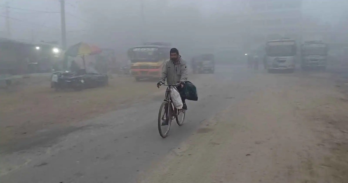 নওগাঁয় কুয়াশাচ্ছন্ন সড়ক, একজন ব্যক্তি সাইকেল চালাচ্ছেন. Channel i News - চ্যানেল আই নিউজ
