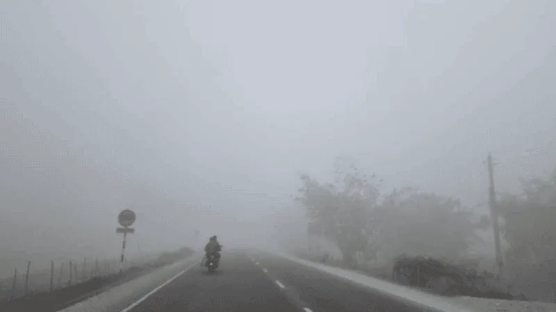 ঘন কুয়াশায় ঢাকা সড়ক, যানবাহন চলাচল ঝুঁকিপূর্ণ. Channel i News - চ্যানেল আই নিউজ