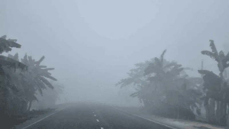 তেঁতুলিয়ায় ঘন কুয়াশার মধ্যে শীতকালীন দৃশ্য. Channel i News - চ্যানেল আই নিউজ