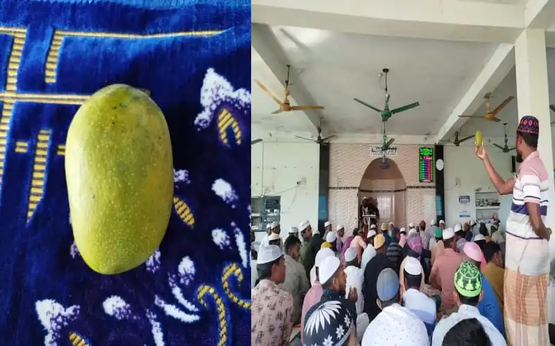 হাওরে আমের দাম ১৬০০ টাকা, বাজারে চাহিদা বেশি. Channel i News - চ্যানেল আই নিউজ