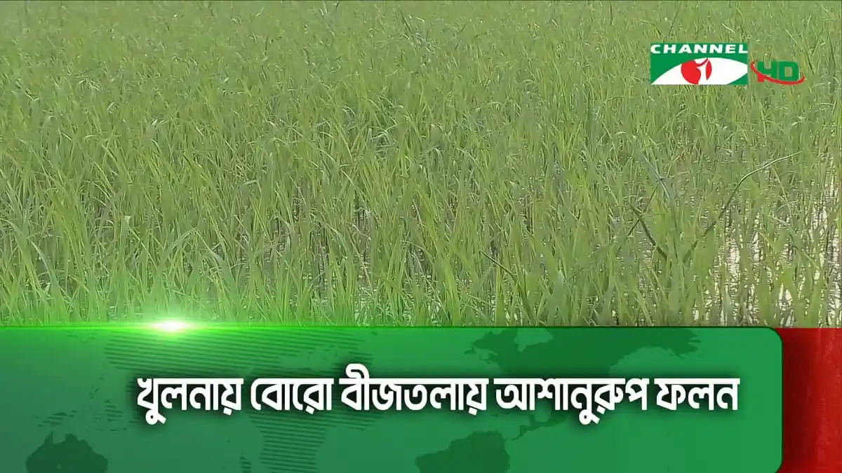 -4 Channel i News - চ্যানেল আই নিউজ