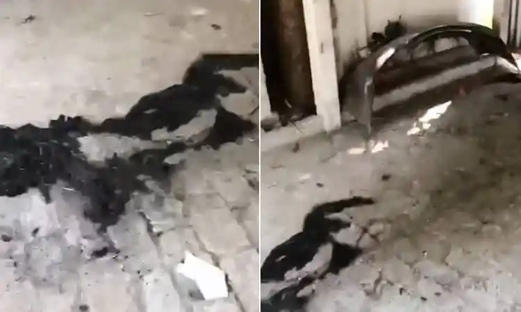 ডাকাতির ঘটনায় ক্ষতিগ্রস্ত স্থান ও সরঞ্জাম দেখা যাচ্ছে. Channel i News - চ্যানেল আই নিউজ