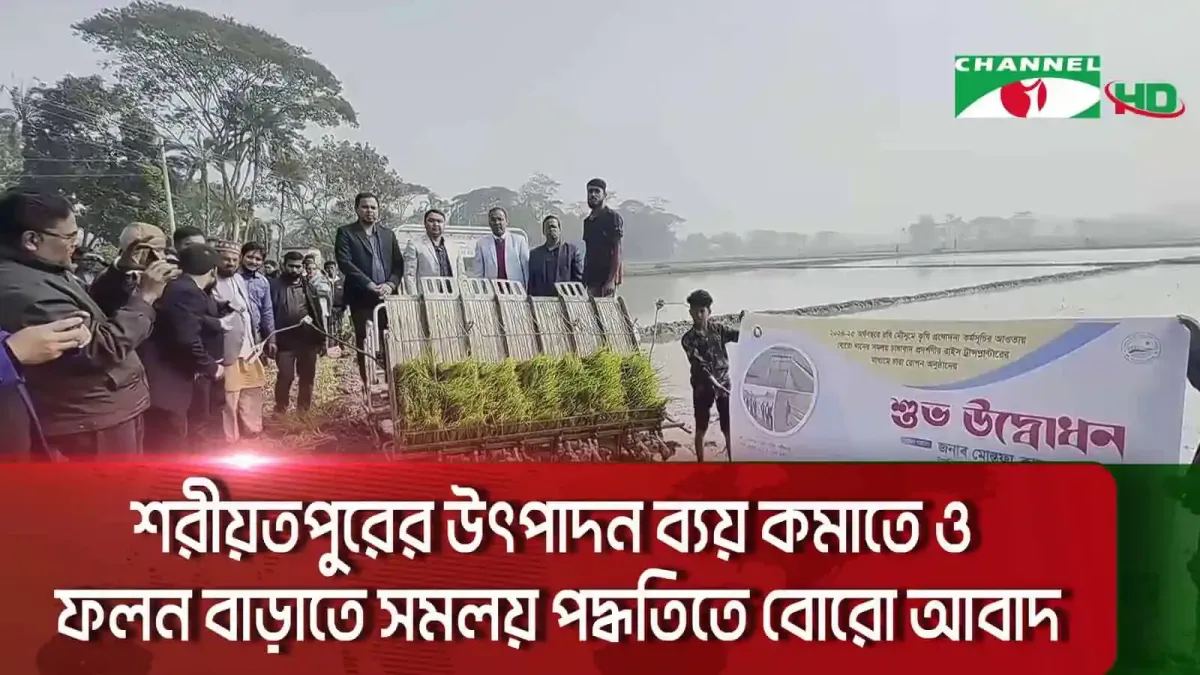 চ্যানেল আই অনলাইন: সমলয় পদ্ধতিতে বোরো আবাদে উৎপাদন বৃদ্ধি ও ফলন উন্নয়ন. Channel i News - চ্যানেল আই নিউজ