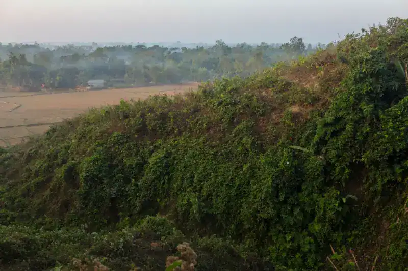 পাহাড়ি এলাকায় সবুজ গাছপালা ও উঁচু পাহাড়ের দৃশ্য. Channel i News - চ্যানেল আই নিউজ