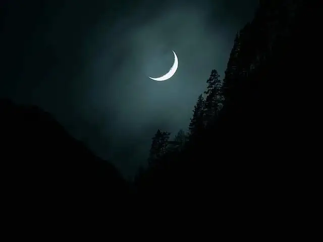 চাঁদ ও গাছে ভরা পাহাড়ের silhouette রাতের আকাশে. Channel i News - চ্যানেল আই নিউজ