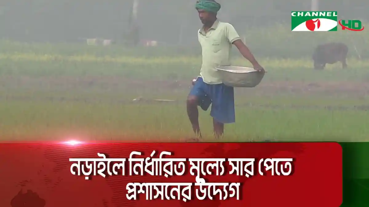 নড়াইলে কৃষক সার সংগ্রহের জন্য মাঠে চলেছেন. Channel i News - চ্যানেল আই নিউজ