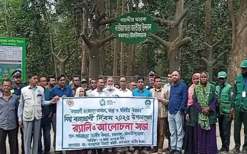 লাউয়াছড়া উদ্যানে বনপ্রেমীদের সচেতনতামূলক সমাবেশ. Channel i News - চ্যানেল আই নিউজ