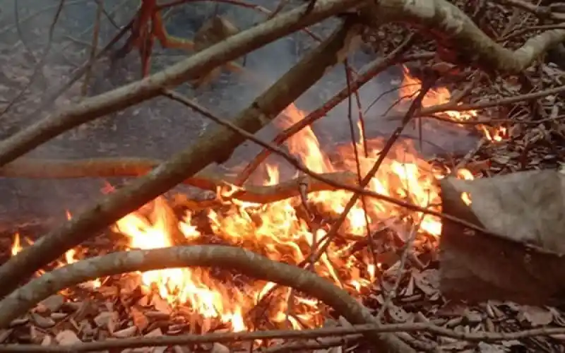 সুন্দরবনে আগুন লেগেছে, ফায়ার সার্ভিস কাজ করছে. Channel i News - চ্যানেল আই নিউজ