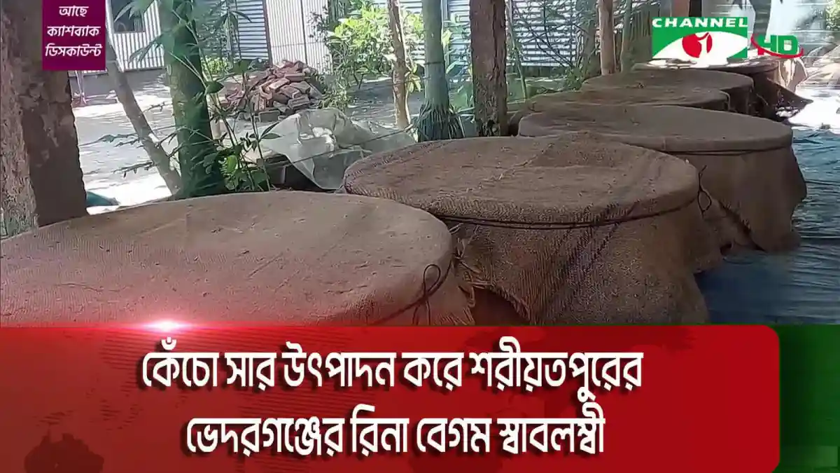 শরীয়তপুরে কেঁচো সার উৎপাদন করে স্বাবলম্বী রিনা বেগম. Channel i News - চ্যানেল আই নিউজ