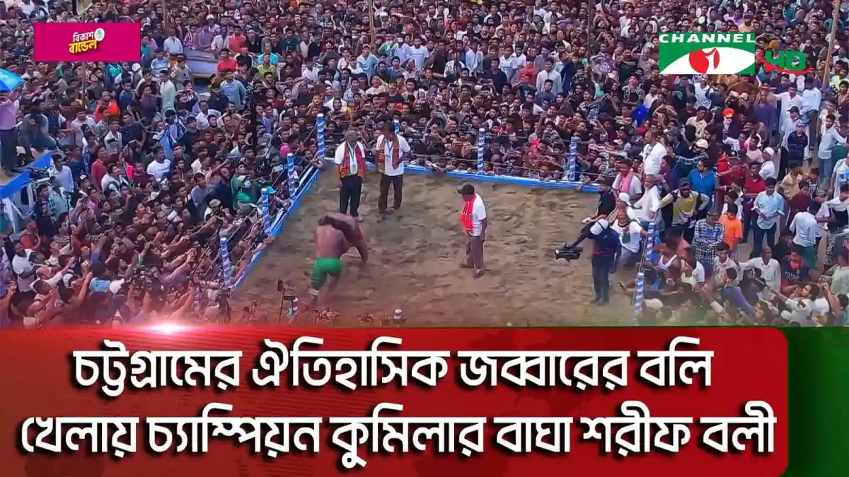 চট্টগ্রামে বলি খেলায় ব্যাপক দর্শক সমাগম, কুমিল্লার বাঘা শরীফ চ্যাম্পিয়ন. Channel i News - চ্যানেল আই নিউজ