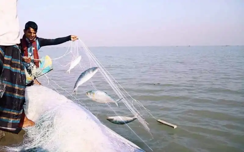 পদ্মা-মেঘনায় ইলিশ ধরা শুরু, জেলেরা মাছ ধরার নেট নিয়ে কাজ করছে. Channel i News - চ্যানেল আই নিউজ