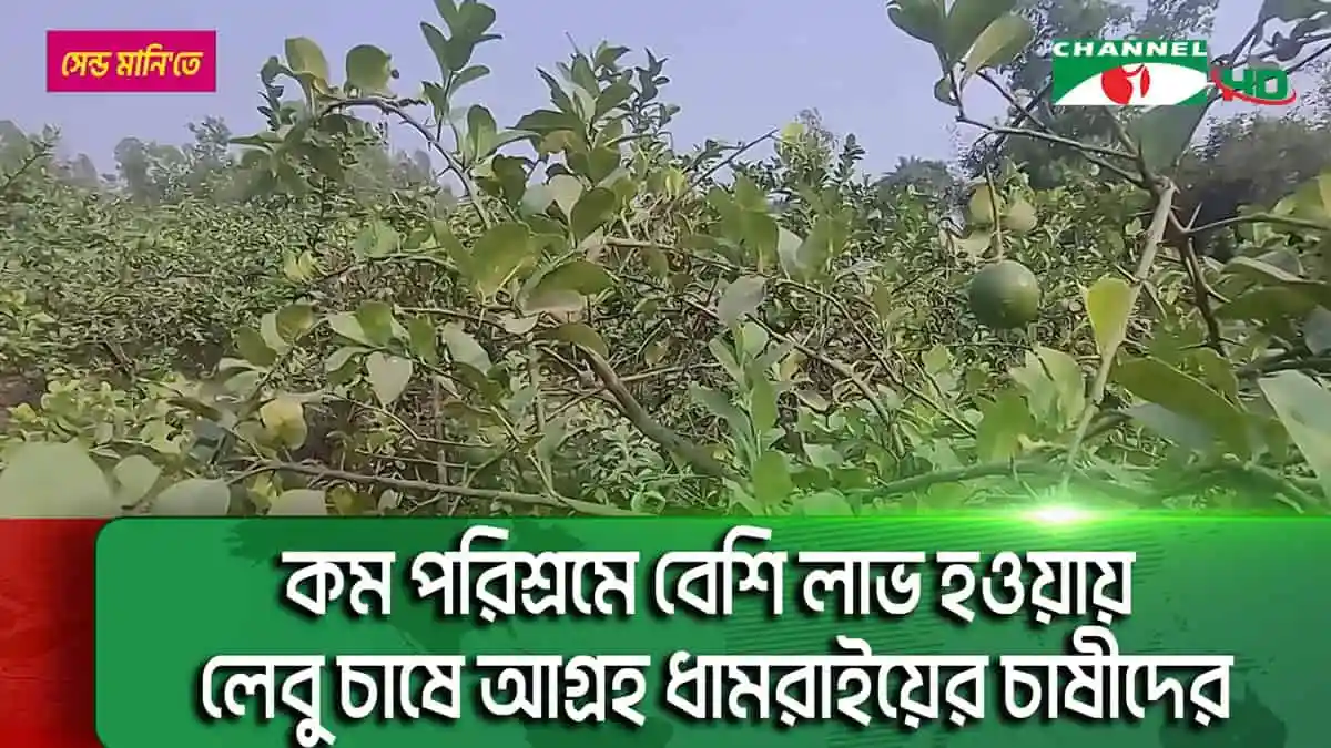 -4 Channel i News - চ্যানেল আই নিউজ