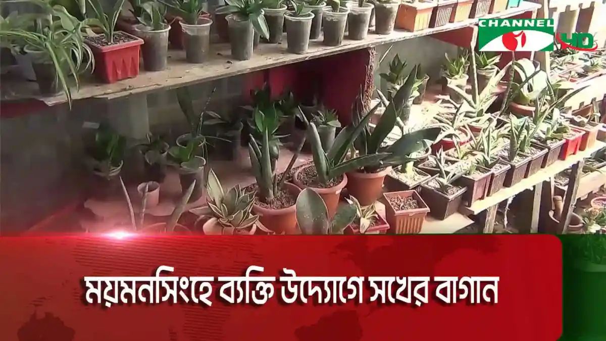 ময়মনসিংহে ব্যক্তি উদ্যোগে শখের বাগান, বিভিন্ন গাছের পাত্রে সাজানো. Channel i News - চ্যানেল আই নিউজ